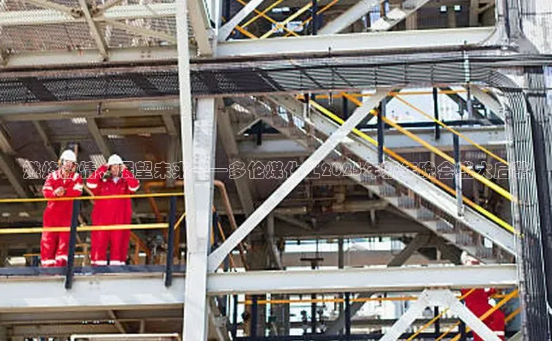 BETVlCTOR最新地址