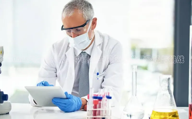 BETVlCTOR最新地址