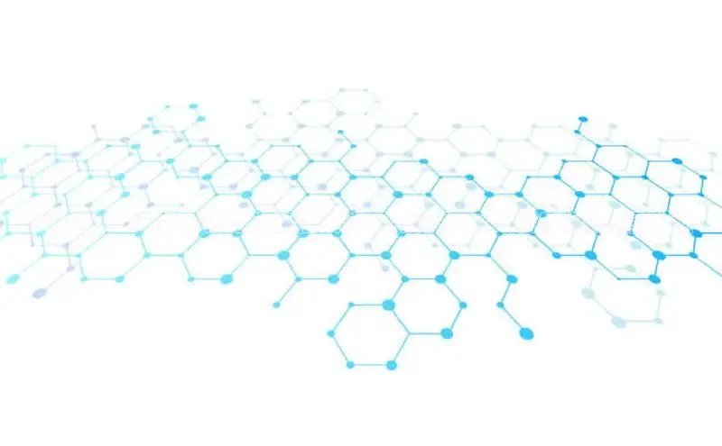 BV伟德国际官方网站