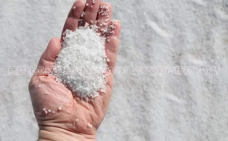 betvtor伟德国际官网登录入口